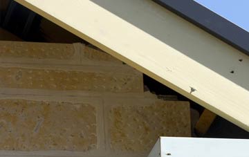 soffit repair Hannafore